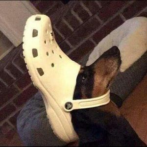 Meet your Posher, Russell